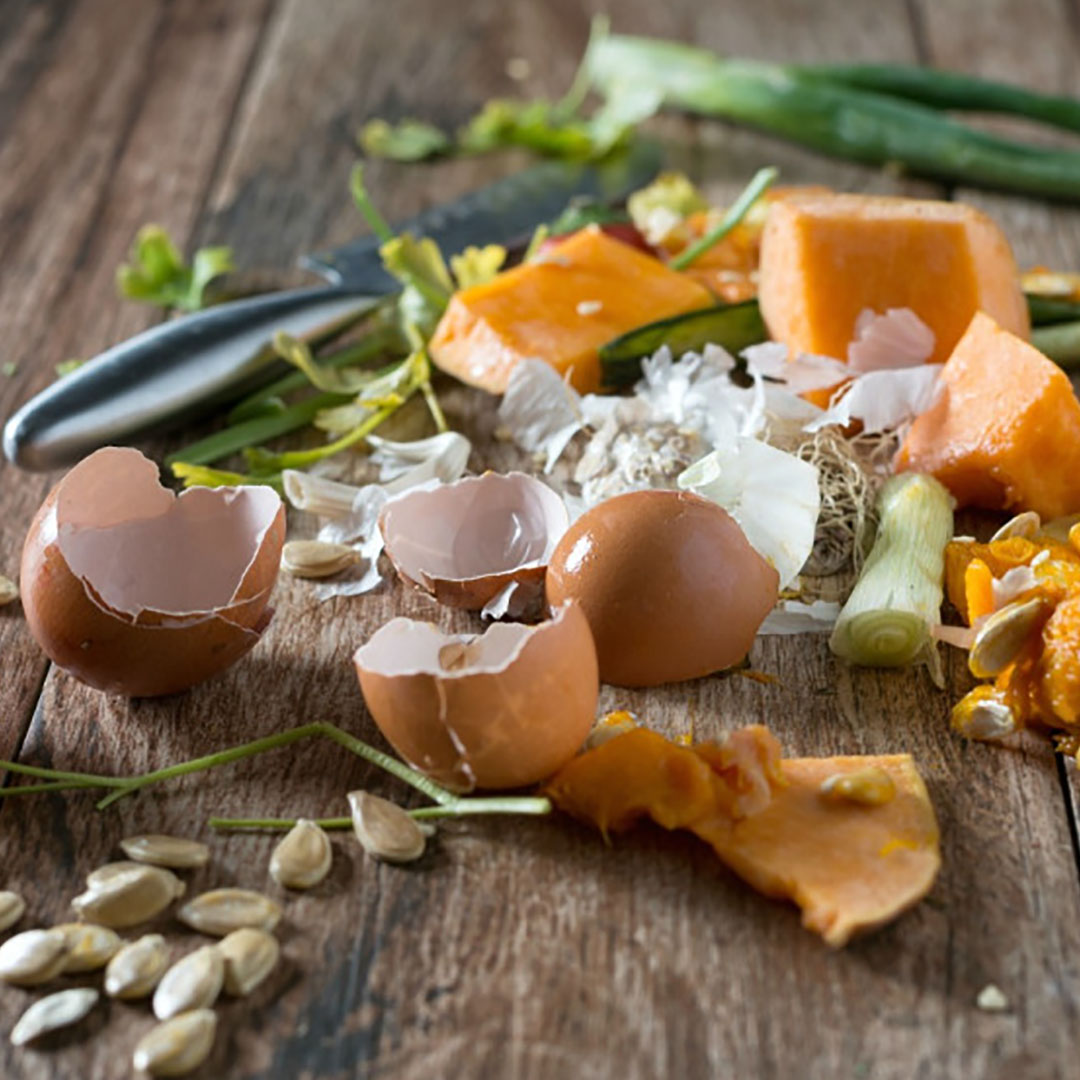 food-waste-scraps1-copia